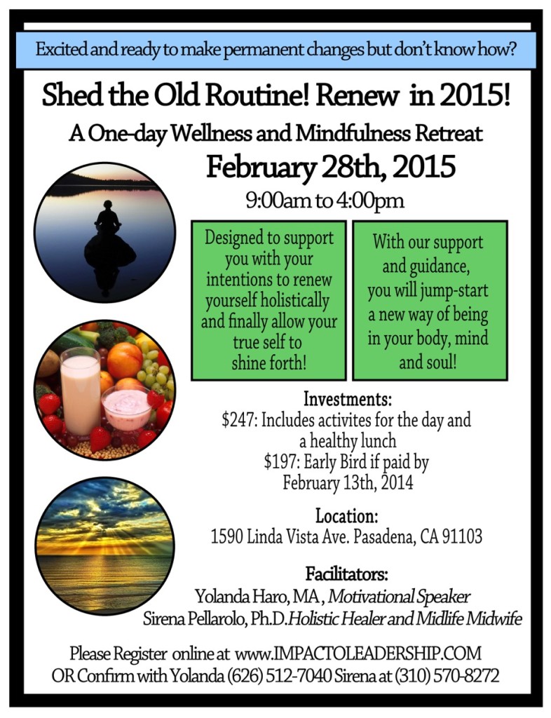 Wellness and Mindfulness Retreat Feb. 2015